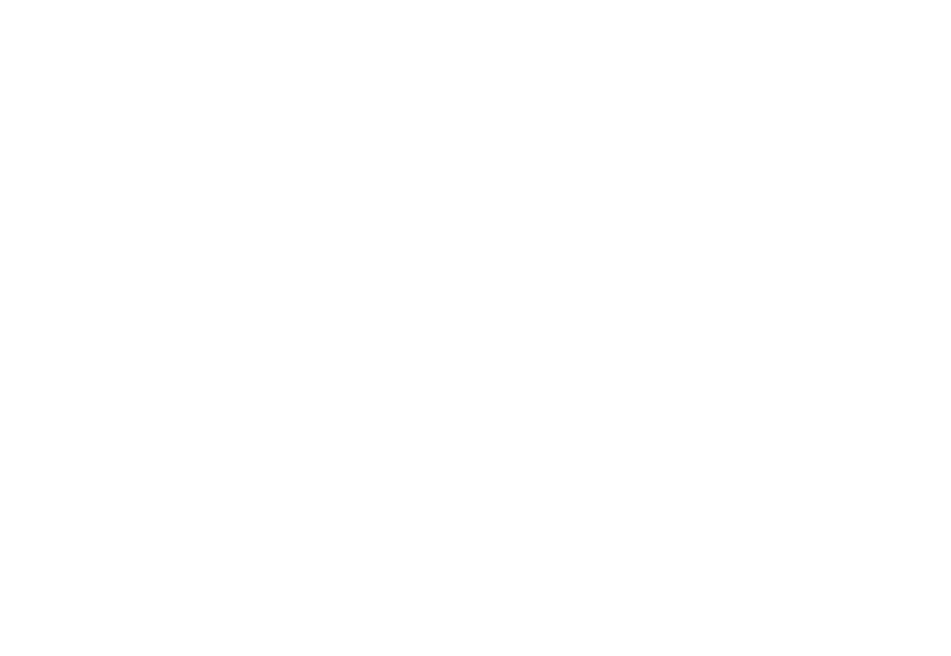 strona internetowa wordpress
